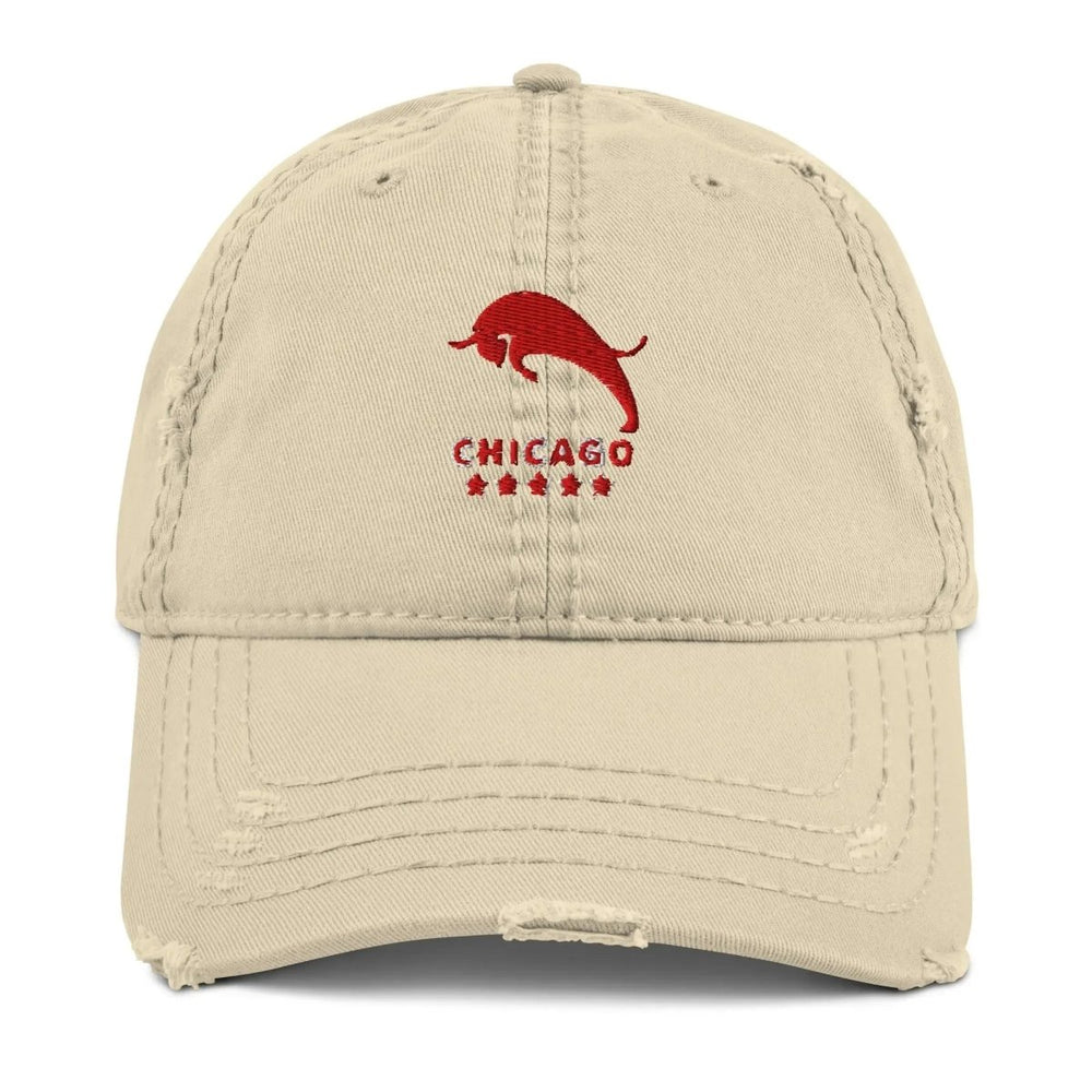 Beesmoove Chicago Bull Airways EA Dad Hat - Beesmoove