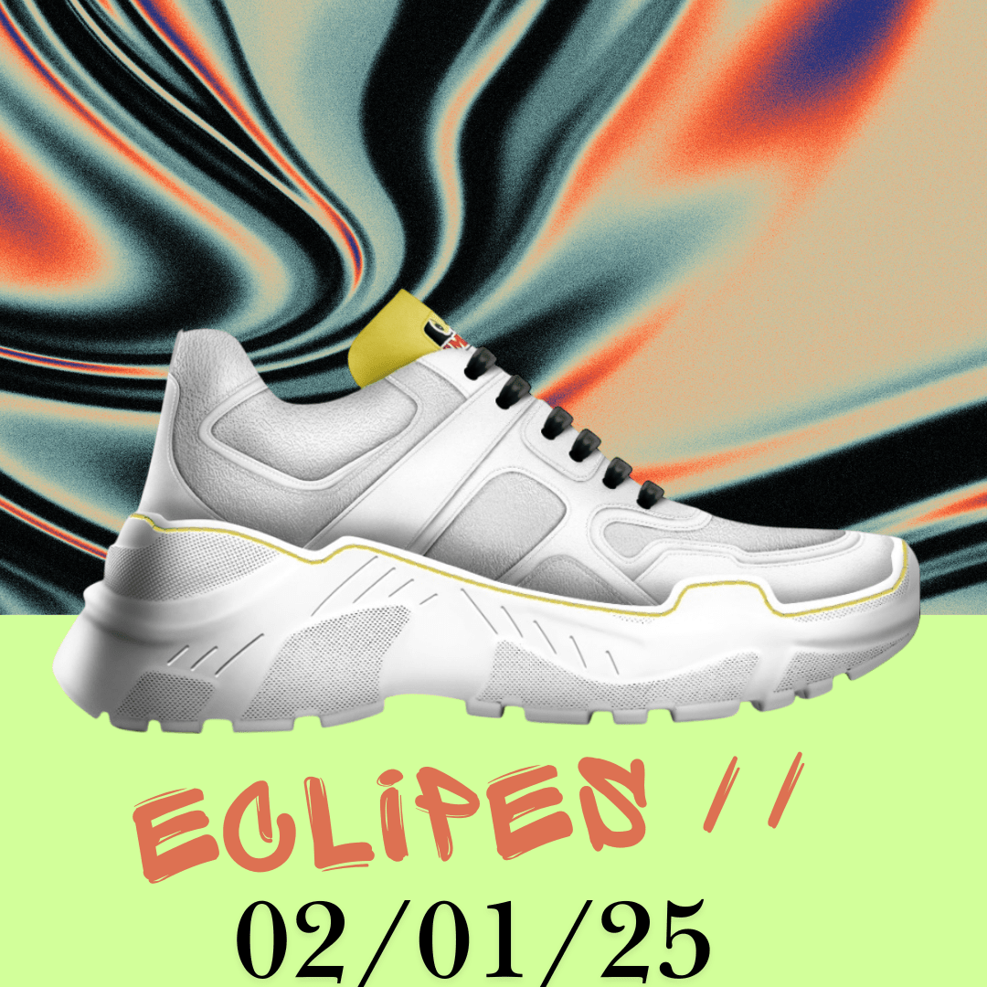 Beesmoove Eclipse kicks // 02 - 01 - 25 - Beesmoove