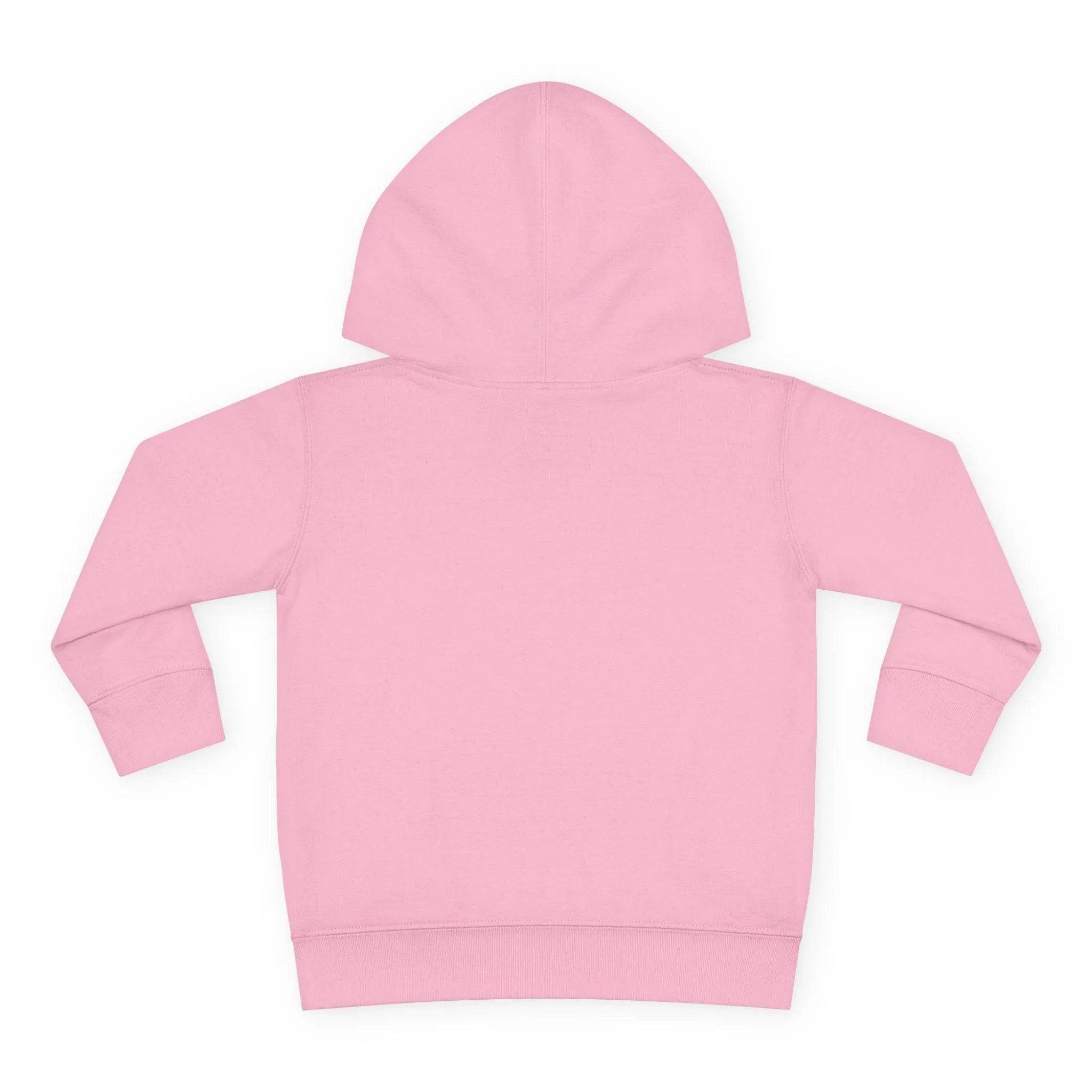 Beesmoove Logo R Pullover Fleece Hoodie - Beesmoove