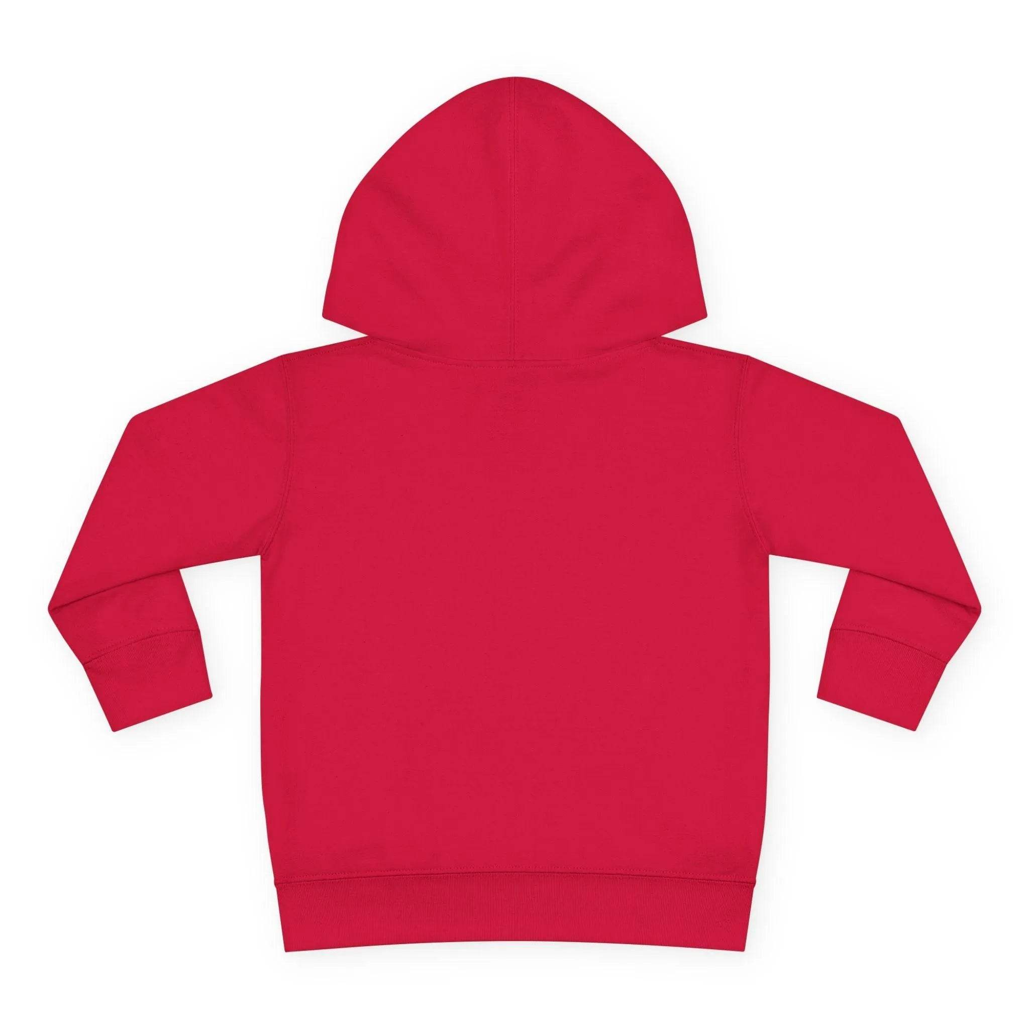 Beesmoove Logo R Pullover Fleece Hoodie - Beesmoove