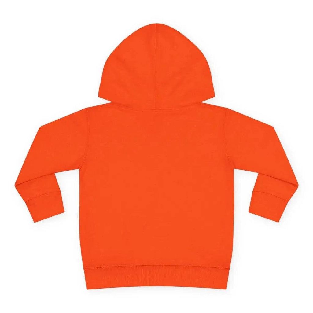 Beesmoove Logo R Pullover Fleece Hoodie - Beesmoove