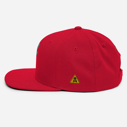 Beesmoove toxic Snapback Hat - Beesmoove